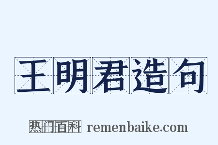 王明君造句是什么意思的图片